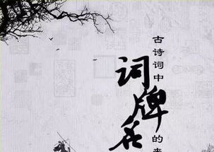 有名的词牌名有哪些?