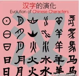 演变的意思-演变造句