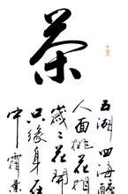察怎么写好看硬笔，泡茶的茶怎么写