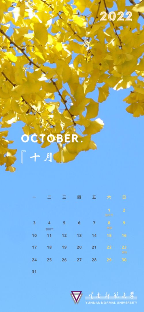 怎么用秋高气爽造句，秋高气爽造句三年级上册