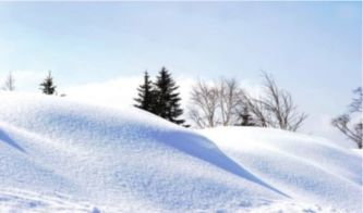 风什么雪什么成语?