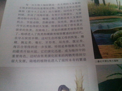 组词蜓拼音，蜻组词