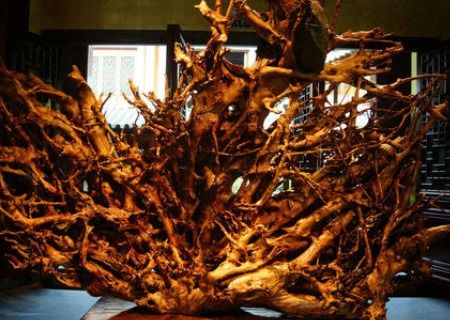 巧夺天工是什么生肖?百度?，巧夺天工是什么动物