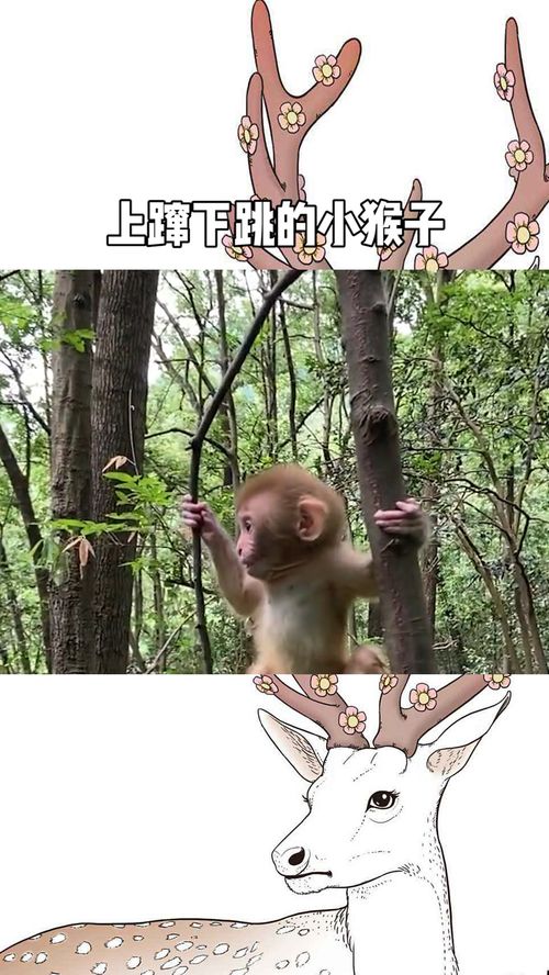 上窜下跳怎么念