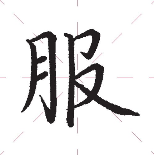 月字旁的字都有哪些