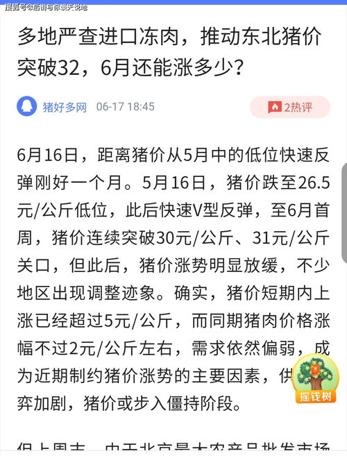 忘乎所以造句简短，忘乎所以造句大全