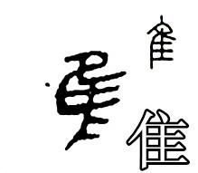 隹的意思和含义是什么?
