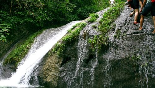 流水对仗什么词，流水对和工对区别
