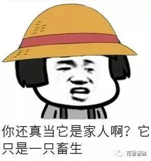 激怒的近义词，激怒一个人才能看到本质
