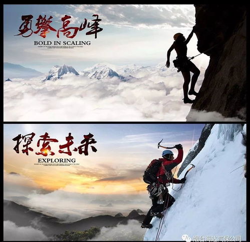 独来独往打一正确生肖，独来独往的近义词