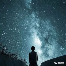 廖若星辰意思，廖若星辰指什么生肖