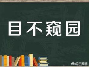 目不窥园意思和拼音，目不窥园意思解释造句简单