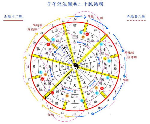 子午侠士的微博，子午卯酉