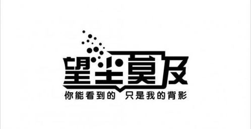 什么不及什么的成语有哪些词语，什么不及什么的四字成语