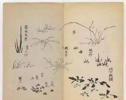 兰谱芯科技深圳有限公司，兰谱芯科技待遇怎么样