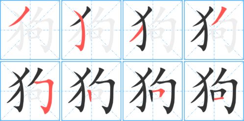 狗的笔顺