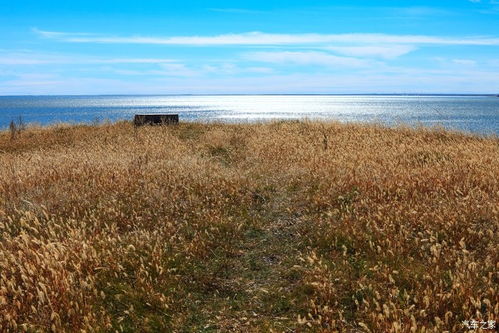 走到天荒地老什么意思，天荒地老什么意思?打一生肖