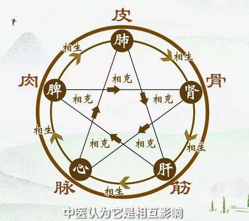 五体投地是什么意思，五体书法