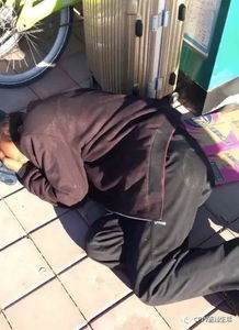 蜷缩是什么意思