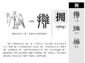 拥怎么打拼音?