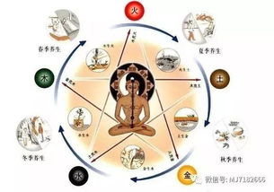 不在五行中跳出三界外下一句，不在五行中的字