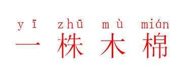 株的拼音怎么读，待的拼音