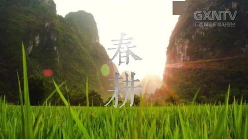 春耕夏耘秋收冬藏的农耕规律，春耕夏耘秋收冬藏诗句