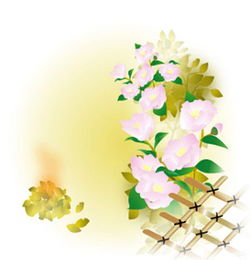 淡雅的意思是什么意思