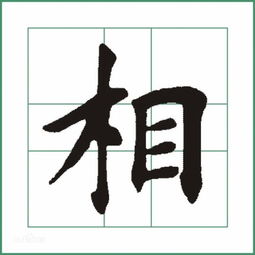 相形见绌读音，相间读音