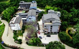 山山家情谊卡卡号怎么看