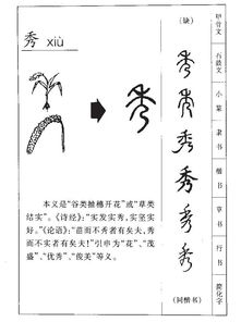 请问秀这个字的拼音到底是xiou还是xiu
