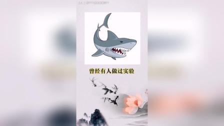 置身事外造句三年级，置身事外造句和解释