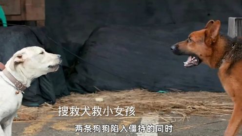 不明事理是什么意思!简单举例子