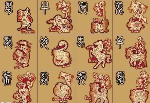 突破财帛是什么意思，破军机遇财帛是什么意思