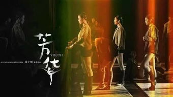 韶华是什么意思拼音，可望来时路,郁郁满芳华是什么意思