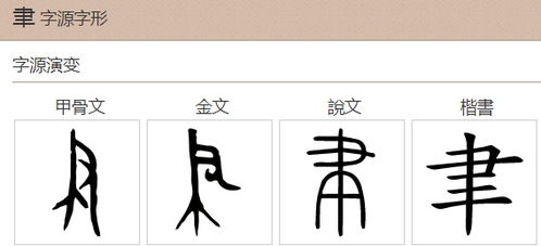 聿读什么?