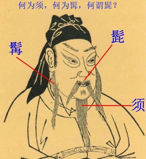 三绺髭髯怎么读，髭怎么读