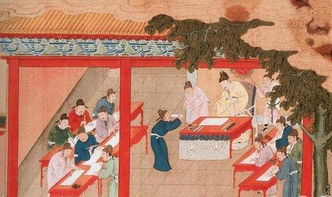 婿怎么读