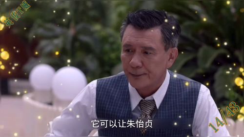 弃暗投明的意思是什么，弃暗投明光耀门楣三国杀台词