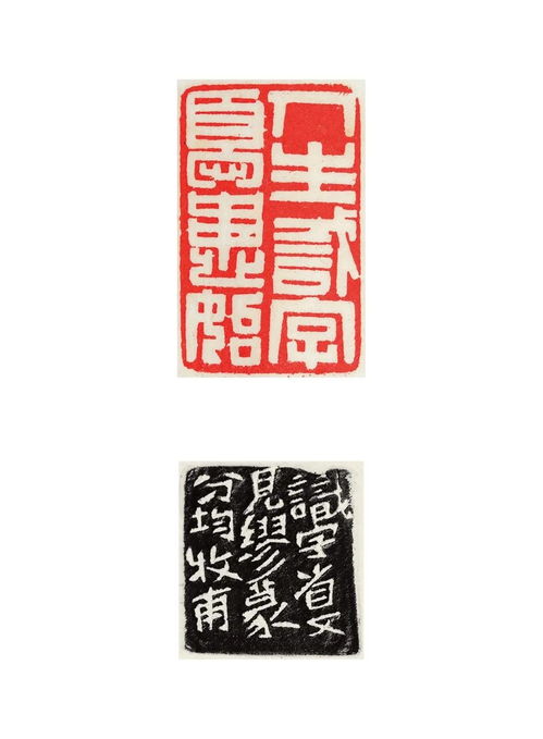 苏东坡当年说的一句话叫识字什么来的??是好还是不好呀??