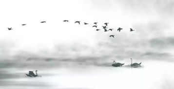 风乍起,合当奋意向人生 雨骤停,径须开怀纳乾坤，风乍起合当奋意向人生下一句