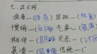 传统的近义词和反义词，传统的近义词的近义词