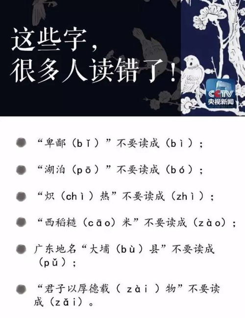 别字拼音