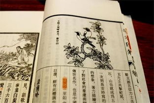 清润鸣回溪