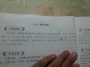 徙怎么读什么意思，役怎么读什么意思