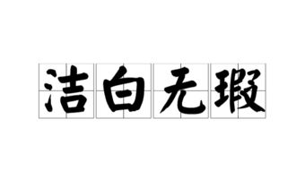 无瑕的意思是什么三年级，清白无瑕的意思