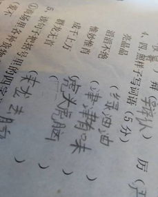 越什么越什么的词语有哪些?