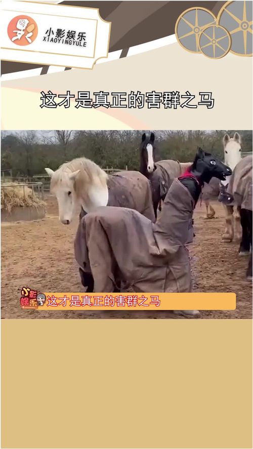 害群之马文言文，害群之马是寓言故事吗?回答