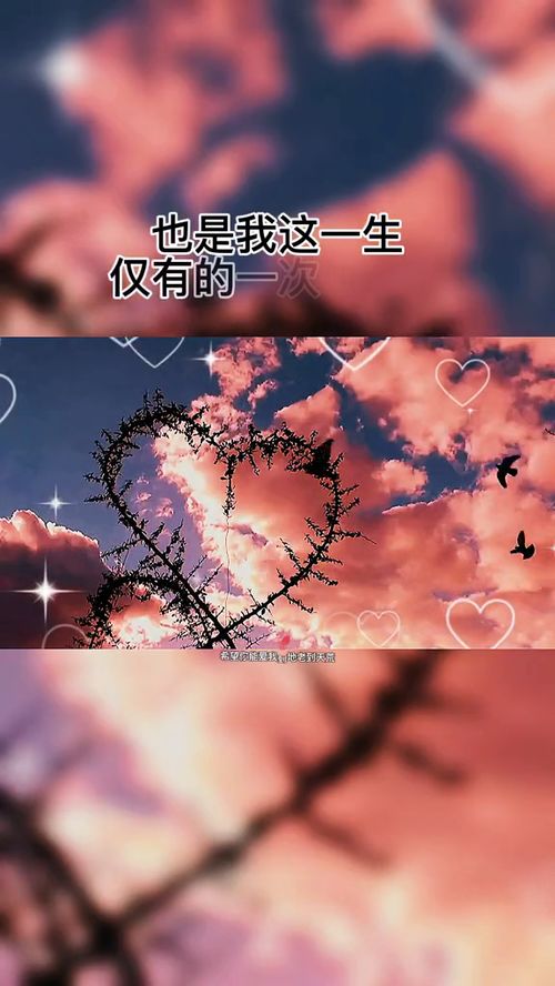 缘分天长地久的意思，白云苍狗天长地久的意思