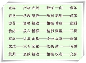 反义词大全